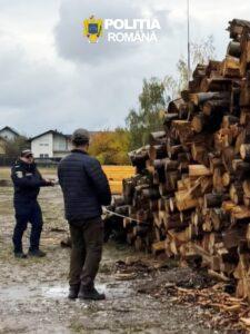 BRAȘOV | Nereguli în domeniul silvic, descoperite la Săcele